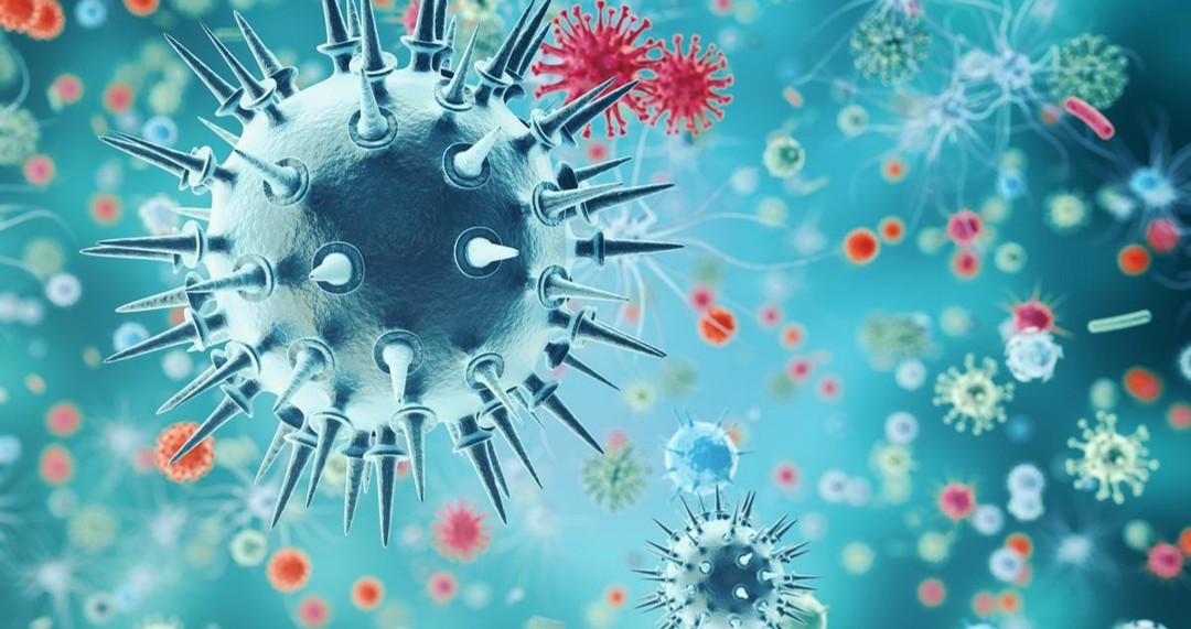 Curso Virtual Anual vía Streaming de Actualización en Infecciones en Ginecología y Obstetricia e Infecciones de Transmisión Sexual 2025